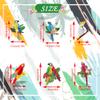 36 pcs Tropical Birds Honeycomb Cutouts, BOSOIRSOU Hanging Parrot Paper Cutouts Hawaiian Summer Beach Luau Party Decorations Safari Classroom Decoration Rainforest Jungle Decoration view 2