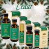ABBA Oil Cedars of Lebanon Anointing Prayer Oil Roll On Bottle in Gift Box - ABBA Jerusalem (.50oz) view 3
