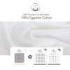 Split King/2 Pack Twin XL 100% Egyptian Cotton Fitted Sheets 600 Thread Count 16" Deep Pocket(Split King/2 Pack Twin XL Fitted Sheet, White) view 4