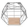 ABOOFAN Hexagon Floating Shelf Wall Mounted Iron Wire Storage Rack Black Plant Display Shelf for Bedroom Living Room Office Decor view 1