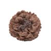 Alipher Curtain Tieback Rose Flower Curtain Holdback Creative Drapery Clip Handmade Floral Curtain Ties for Home Office Decoration 2PCS (Coffee) view 1