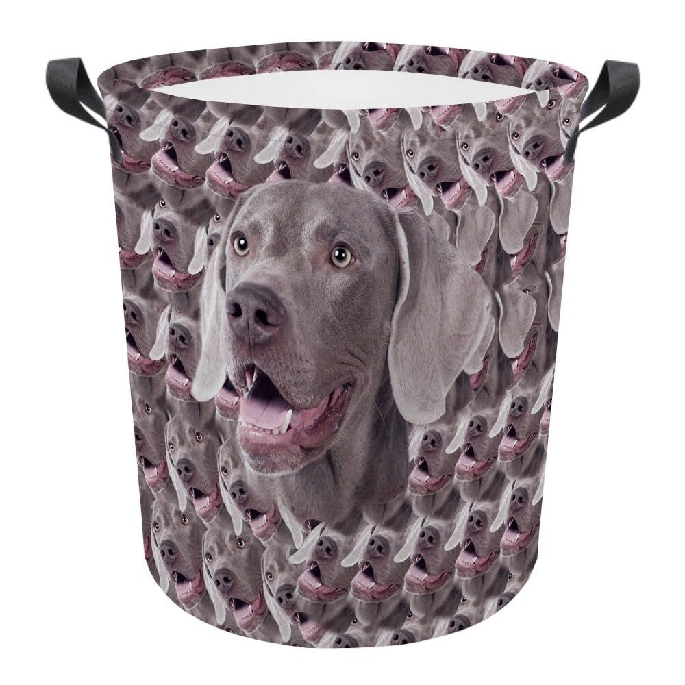 MALIHONG Dog Mash Face Laundry Basket with Funny Weimaraner Dog Head Laundry Bag Collapsible Large Dirty Clothes Hamper Storage for Bedroom College Dorms