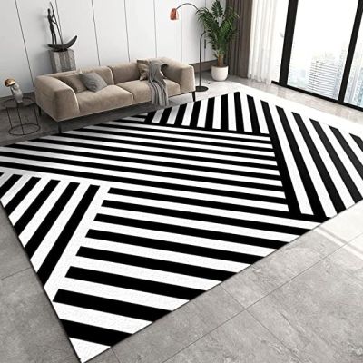 3x4 Area Rugs Black and White Lines Geometry Outdoor Carpet Abstract Geometric Lines Rug with Non-Slip Backing Easy Can Be Washed for Living Room Bedroom Kitchen Dining Room Home Office Floor Rug