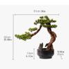 RENEESME Artificial Small Bonsai Tree Artificial Bonsai Ceramic Flower Pot Artificial Plant Potted Decorative Tree Potted Plant Living Room Office Zen Decoration Living Room Fake Plant Greenery Decor view 2