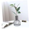 ABOOFAN 1pc Art Hydroponic Vase for Desktop Decoration Sturdy Water Plants Holder for Flower Arrangements Elegant Hydroponic Decor for Use view 4