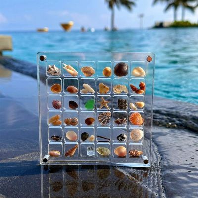 Acrylic Magnetic Seashell Display Box, Advantageouse Acrylic Magnetic Seashell Display Box, Seashell Storage Box, Clear Acrylic Diamond Gemstone Beads Storage Display Organizer Box (36 grids)