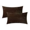 Jeneoo Coffee Brown Decorative Throw Pillow Covers Soft Chenille Comfy Lumbar Solid Couch Cushion Case Decor (Set of 2, 12 x 20 Inches) view 1