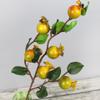 PRETYZOOM Fake Fruit Artificial Berry Floral Decor Yellow Silk Flowers Artificial Pomegranate Berries Artificial Berries Stem Branch Mini Pomegranate Picks Realistic Plants Faux Small Red Berries view 3