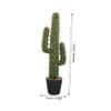 Zerodeko Artificial Cactus Bonsai in Pot Compact Faux Cacti Decoration for Home Office Outdoor Spaces Stress-Relieving Greenery for Areas view 2