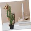 Zerodeko Artificial Cactus Bonsai in Pot Compact Faux Cacti Decoration for Home Office Outdoor Spaces Stress-Relieving Greenery for Areas view 4