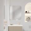 CMYAOYC Medicine Cabinet Bathroom Mirror Cabinet, Wall Mirror Storage Shelf, Wall Mounted Bathroom Mirrors for Over Sink, Laundry Room (Size : 48x14x70cm/19x6x28in) view 1