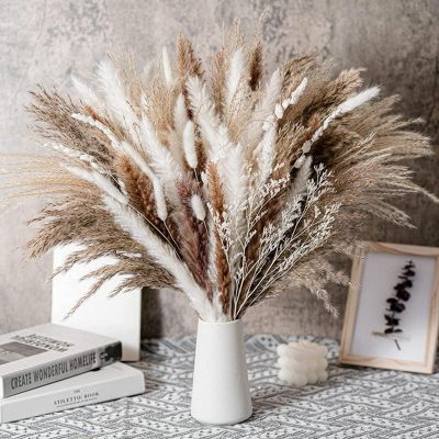 50 Stems 17" Real Pampas Dried Decor Grass for Vase, Natural PussyWillows with Flowers, Snow Willow Branches for Indoor and Outdoor Decor, Wedding Home Party Hotel Fireplace Yard (White)