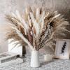 50 Stems 17" Real Pampas Dried Decor Grass for Vase, Natural PussyWillows with Flowers, Snow Willow Branches for Indoor and Outdoor Decor, Wedding Home Party Hotel Fireplace Yard (White) view 1