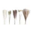 50 Stems 17" Real Pampas Dried Decor Grass for Vase, Natural PussyWillows with Flowers, Snow Willow Branches for Indoor and Outdoor Decor, Wedding Home Party Hotel Fireplace Yard (White) view 2
