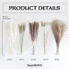 50 Stems 17" Real Pampas Dried Decor Grass for Vase, Natural PussyWillows with Flowers, Snow Willow Branches for Indoor and Outdoor Decor, Wedding Home Party Hotel Fireplace Yard (White) view 3