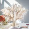 50 Stems 17" Real Pampas Dried Decor Grass for Vase, Natural PussyWillows with Flowers, Snow Willow Branches for Indoor and Outdoor Decor, Wedding Home Party Hotel Fireplace Yard (White) view 4