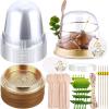 SiliFine 100 Sets Disposable Individual Charcuterie Cups with Lids Clear Plastic Cupcake Container Gold Cocktail Picks Appetizer Disposable Wooden Forks for Wedding Birthday Dessert Display view 1