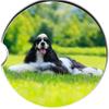 Cocker Spaniel | Car Coasters | Cocker Spaniel Lover | Cocker Spaniel Gifts | Sandstone Coasters | Car Coaster | Cup Holder Coaster view 1