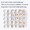 50 Pcs Capacity Egg Boiler Cooker,Commercial Egg Boiler Machine 800w Temperature Control Range 30~90  C Commercial Hot Spring Egg Cooker, Automatic Restaurant Egg Boiler Steamer view 3