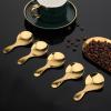 5 PCS Short Handle Spoons Gold Mini Scoops Stainless Spoons for Canisters Small Coffee Scoops Candy Scoops for Condiments Tea Desserts Coffee view 4