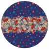 4th of July Round Area Rugs Collection 3.3', Non Slip Indoor Circular Throw Runner Rug Floor Mat Carpet for Living Room Dining Table Bedroom Nursery Decor Blue Red Star Flowers Botanical Rustic view 2