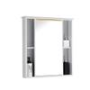 Bathroom Mirror Cabinet Single Mirrored Door - Modern Toilet Cupboard Storage Unit with Mirror Doors Adjustable Shelf, Wall-Mounted Push-Pull Waterproof Bathroom Storage Cabinet view 1