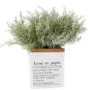Lovmeety 4 Pack Artificial Rosemary Plants, Fake Leaves Stems, Faux Branches for Table Centerpieces, Home Office, Garden, Farmhouse, Window Decor view 1