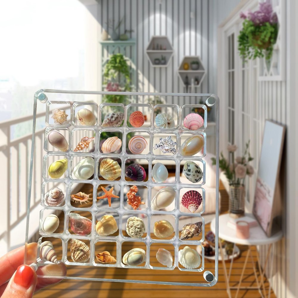 Acrylic Magnetic Seashell Display Box, 36/64/100 Grids Clear Acrylic Seashell Display Box, Diamond Gemstone Beads Storage Display Organizer Box