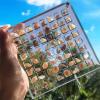Acrylic Magnetic Seashell Display Box, 36/64/100 Grids Clear Acrylic Seashell Display Box, Diamond Gemstone Beads Storage Display Organizer Box view 4