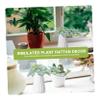 Cabilock Mini Fake Plants Succulent Decor Fake Plant Decor Rattan Flower Arrangement view 4