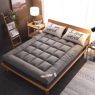 HomeLoft Basics Futon Mattress Full Size, Japanese Mat Sleeping Pad for Mattresses Twin Full Queen King Size Bed, with Non Slip Straps, Roll Up Folding Soft, 100*200cm
