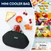 Haimont Freezable Snack Lunch Bag Reusable Freezer Mini Lunch Cooler, Small Insulated Bag Foldable for Work Travel Picnic, Black view 4