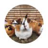 Guinea Pigs Print Design Wall Clock Non Ticking Clock 10 Inch Round Clocks Home Decor for Office Kitchen Clock Art view 1