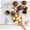 Zerodeko 25pcs Macadamia Pecan Opener Nut Splitter Portable Nut Cracker Tool Dried Fruit Opener view 2