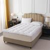 BEIVIG Breathable Mattress Topper, Soft Plush King Mattress Pad, Extra Thick Quilted Pillow Top with Fluffy Down Alternative Fill and 400TC Cotton Cover for Back Pain Relief and Support(White,76"x80") view 2