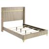 Coaster Home Furnishings - Lucia - Wood - Wingback Queen Panel Bed with Gold Trim Accents and Vertical Fluted Upholstery - Bedroom - Beige - 224731Q view 1