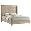 Coaster Home Furnishings - Lucia - Wood - Wingback Queen Panel Bed with Gold Trim Accents and Vertical Fluted Upholstery - Bedroom - Beige - 224731Q view 4