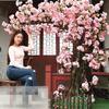 LPLYAA Indoor/Outdoor Simulation Plants Handmade Vivid Flowers Tree Silk Flowers Tree Artificial Cherry Blossom Trees Wishing Tree for Wedding Party Home Decor (Size : 2x2m/6.6x6.6ft) view 1