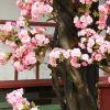 LPLYAA Indoor/Outdoor Simulation Plants Handmade Vivid Flowers Tree Silk Flowers Tree Artificial Cherry Blossom Trees Wishing Tree for Wedding Party Home Decor (Size : 2x2m/6.6x6.6ft) view 4
