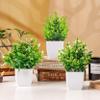 Der Rose 4 Pack Small Fake Plants Artificial Plants Indoor Office Desk Accessories for Aesthetic Room Decor Bathroom Decor view 4