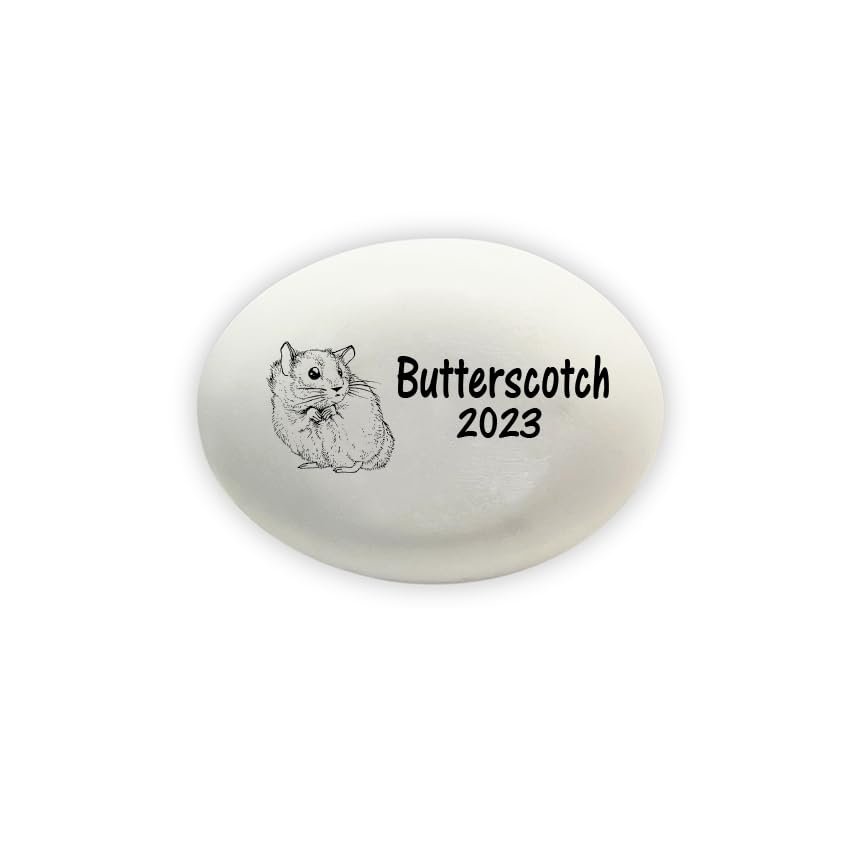 Florida-Funshine Hamster Memorial Stone - Handcrafted Stone Personalized