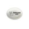 Florida-Funshine Hamster Memorial Stone - Handcrafted Stone Personalized view 1