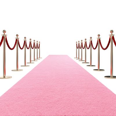 HOMBYS 450 GSM Extra Thick 3x15 ft Pink Carpet Runner for Partys & Events, Heavy-Duty Felt Aisle Runway Rug for Steps, Prom Proposal & Wedding Ceremony Decorations, Hollywood Oscars for VIP Awards