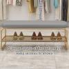 TRUNXUCL Iron Frame Shoe Bench, 2 Tier Shoe Rack with Soft Cushion, Multifunctional Bedside Stool Furniture, for Living Room, Hallway, Clothing Store, Load Capacity 200kg/440lb (Color : Gray+Gold, S view 4