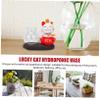 ABOOFAN 1 Set Ornament Flower Vase Creative Vase Water Planting Vase Desktop Flower Container Decorative Vase, 12.5x6cm view 3