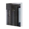 Bathroom Mirrors Wall Mounted with Cabinet Mirror Cupboard with Storage Shelf Bathroom Organizer for Living Room or Kitchen (60 * 70 * 10 Cm) view 1