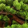 Artificial Decorative Plants Artificial Bonsai Tree Fake Plants Decoration with Square Ceramic Flower Pot Indoor Potted Faux Pine Plants Bonsai Tree Desktop Potted Decoration Fake Houseplants view 3