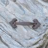 antique cabinet drawer handles, 2Pcs 165MM Handmade Retro Vintage Classical Tranditional Euro Style Rustic Solid Cast Iron Handle Rustic Metal Pull Handles Gate Handles Hardware Set(Vintage Cast Iron, view 3