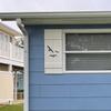 Flying Bird Beach House Shutter, Seagull Outdoor Decor, Sold Individually (Width: 11.5, Height: 43.5) view 4