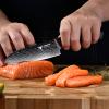 aisyoko Santoku Knife 5" inches-Japan 8C Super Steel 67 Layer Damascus Steel-Sharp Kitchen Knife-Full Tang ABS Anti-Skid Handle utility knife Cooking Knife with Luxury Gift Box view 2